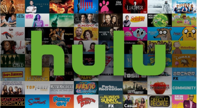 hulu acquisition video genome project